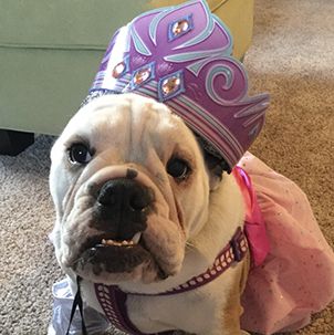 Princess Rosie